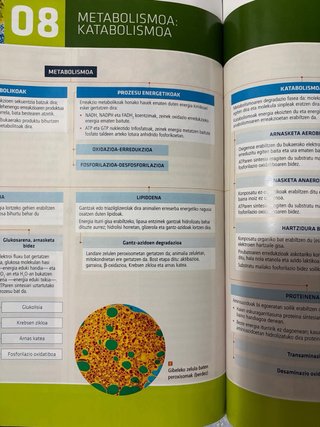 Biologia Practicas Bachillerato 2 (Euskera)