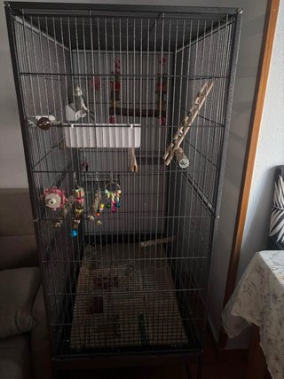 Jaula de pajaros