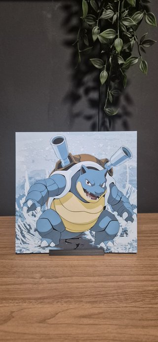 Cuadro Blastoise 3D Relieve