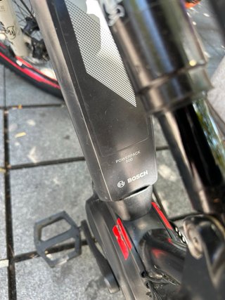 Electric cycel