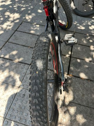 Electric cycel