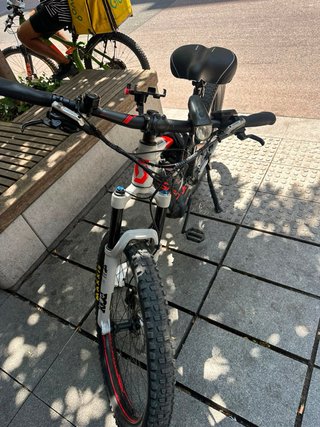 Electric cycel