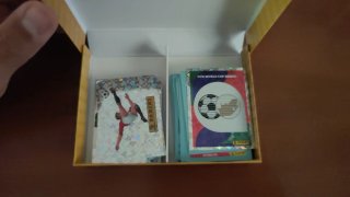 Lote de cromos mundial Panini