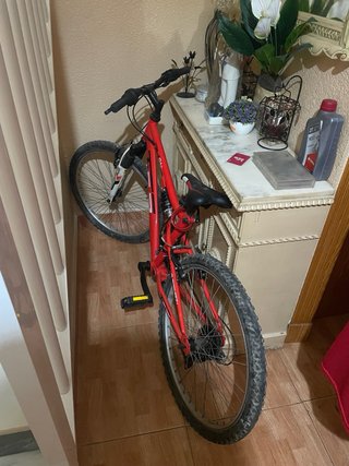 Bicicleta de Montaña Roja