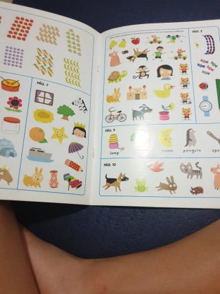 libro para aprender ingles