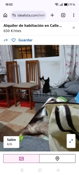 Habitación para compartir gastos