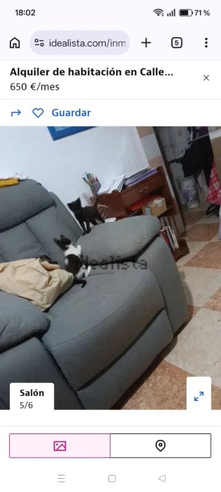 Habitación para compartir gastos