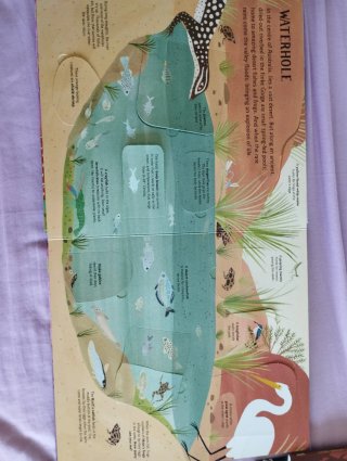 Libro con desplegables en inglés sobre la naturale