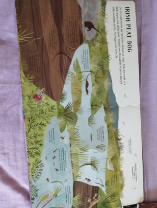 Libro con desplegables en inglés sobre la naturale