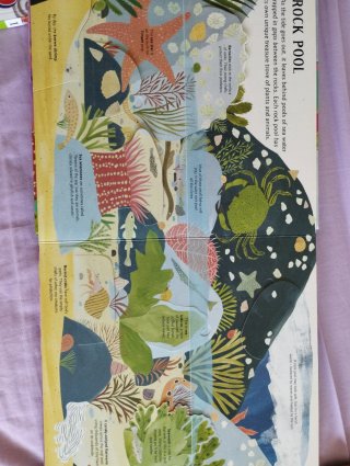 Libro con desplegables en inglés sobre la naturale
