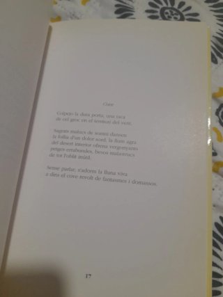 Refugi contra la tempesta