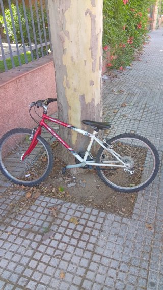 Bicicleta Trek Antelope 800 Verde/Amarillo