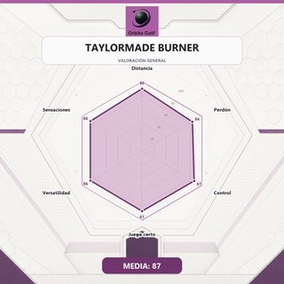 Set de Palos de Golf TAYLORMADE BURNER