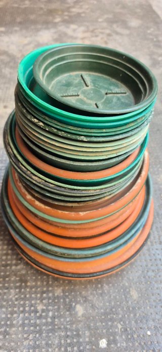 Set sottovasi plastica verdi e arancioni