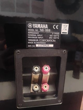 Altavoces Yamaha NS-555 Negro/Plata