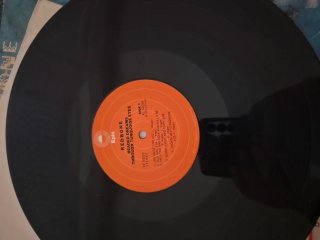 Vinilo Redbone Beaded Dreams Through Turquoise Eye