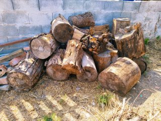 Troncos de pino para leña, o proyectos. Se regala!