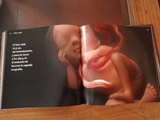 La Odisea de la vida