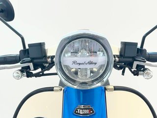 Royal Alloy TG 300 S