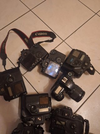 Consiglio di fotocamere Canon e Nikon