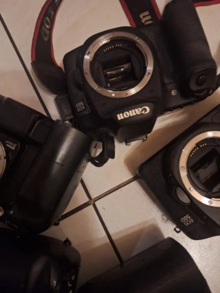 Consiglio di fotocamere Canon e Nikon