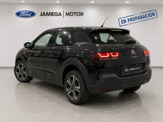 Citroën C4 Cactus BlueHDi 100 S&S Feel