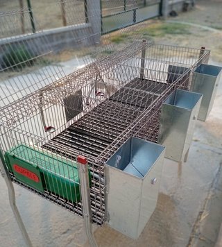 Jaula para cría de conejos