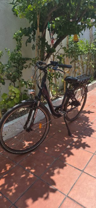 Bicicleta Eléctrica Urbana