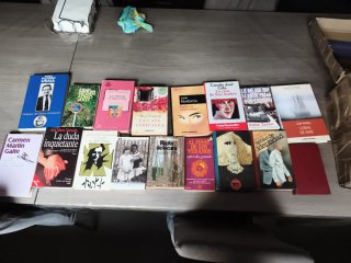 Lote de libros