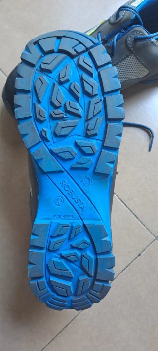 Zapatos de seguridad Robusta grises y azules