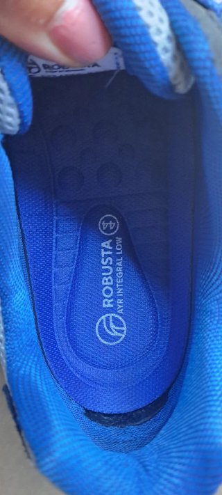 Zapatos de seguridad Robusta grises y azules