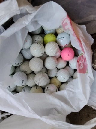 Bolsas de Pelotas de Golf