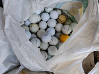 Bolsas de Pelotas de Golf