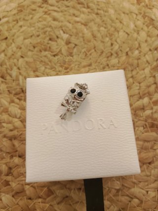 Pandora  Charm varios