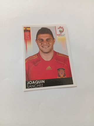 Joaquín España Euro 2008