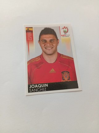 Joaquín España Euro 2008