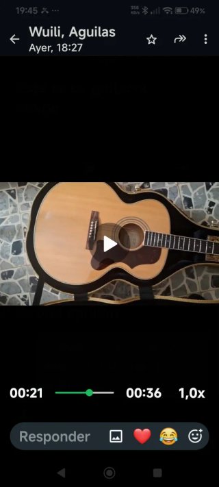Funda de guitarra dorada