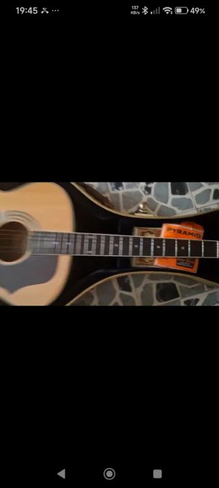 Funda de guitarra dorada