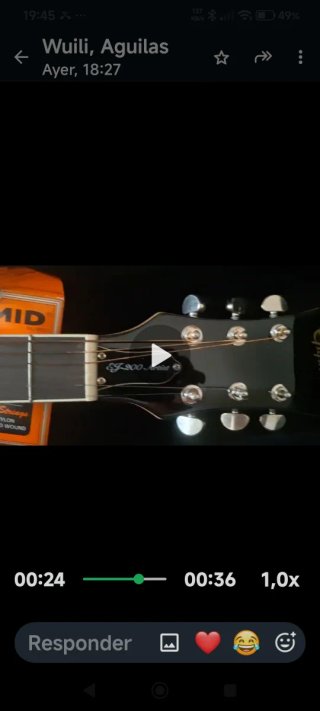 Funda de guitarra dorada