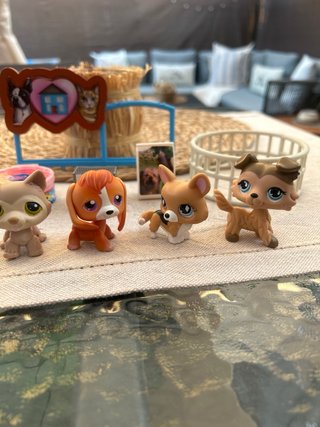 6 Littlest Pet Shop Perros