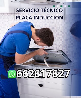 Servicio técnico placa de inducción s873602