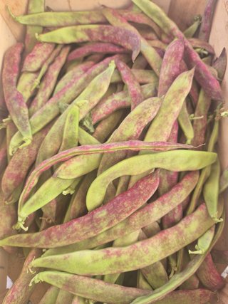 Judías verdes frescas