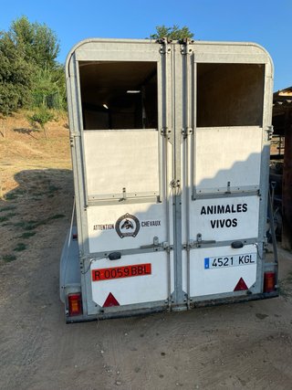 Remolque caballos blanco