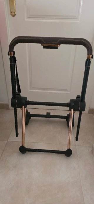 Chasis Cybex e-PRIAM Rose Gold