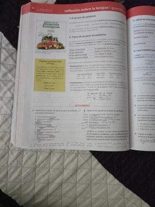 Lengua Castellana Y Literatura 1 Eso, Código Ab...