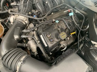 Ford Mustang Cabrio 3.7 305 cvs 2015
