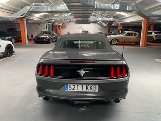 Ford Mustang Cabrio 3.7 305 cvs 2015