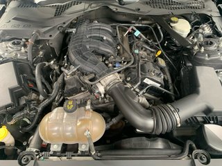 Ford Mustang Cabrio 3.7 305 cvs 2015