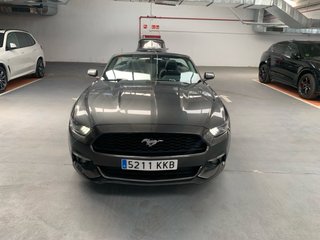 Ford Mustang Cabrio 3.7 305 cvs 2015