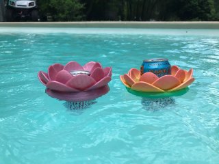 Portalatas Flotante Flor Piscina